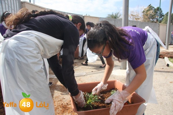 ajyalnewa3malteyeba88 (10).jpg